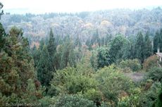 China (230 von 257).jpg